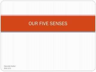 OUR FIVE SENSES