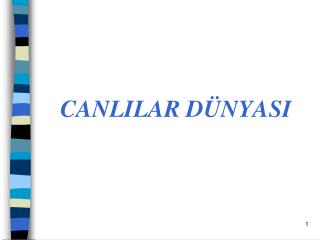 CANLILAR DÜNYASI