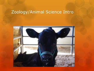 Zoology/Animal Science Intro