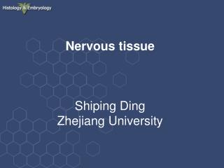 Nervous tissue Shiping Ding Zhejiang University