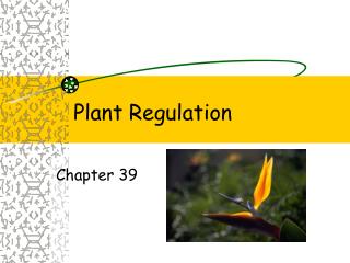 Plant Regulation