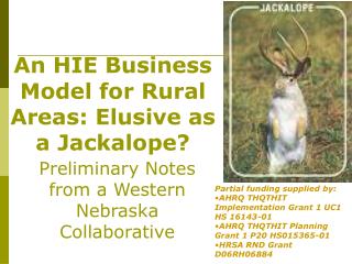 An HIE Business Model for Rural Areas: Elusive as a Jackalope?