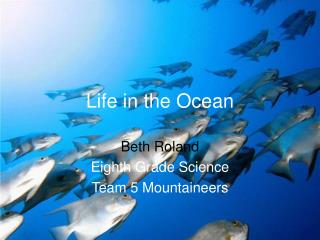 Life in the Ocean