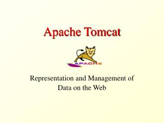 Apache Tomcat