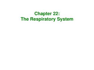 Chapter 22: The Respiratory System