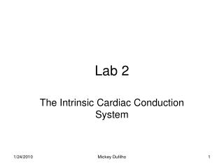 Lab 2