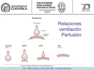 Dra. Adriana Suárez Urhan, MD, MSc, Profesora Asociada