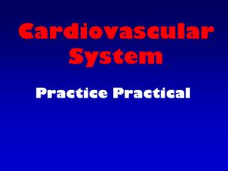 Cardiovascular System