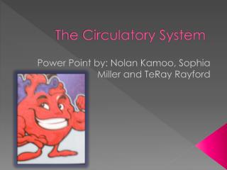 The Circulatory System