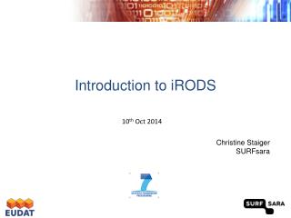 Introduction to iRODS