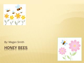 Honey Bees