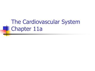 The Cardiovascular System Chapter 11a