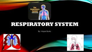 RESPiratory System