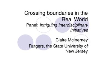 Crossing boundaries in the Real World Panel: Intriguing Interdisciplinary Initiatives
