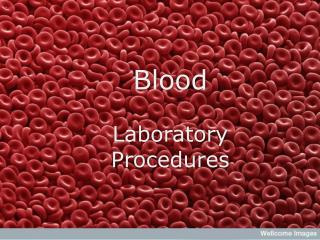 Blood Laboratory Procedures