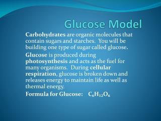 Glucose Model