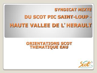 SYNDICAT MIXTE DU SCOT PIC SAINT-LOUP - HAUTE VALLEE DE L ’ HERAULT