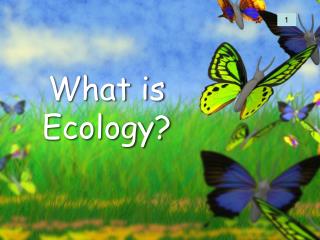 What is Ecology?