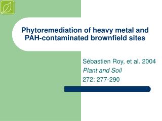 Phytoremediation of heavy metal and PAH-contaminated brownfield sites