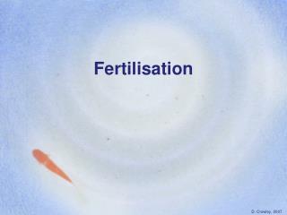 Fertilisation