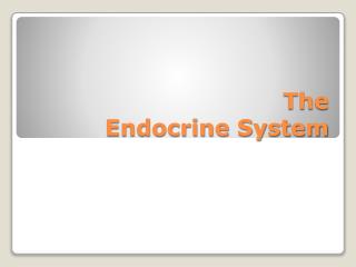 The Endocrine System