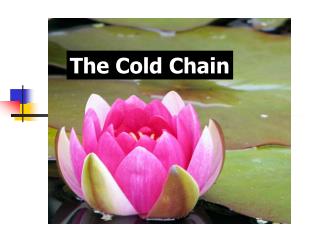 The Cold Chain