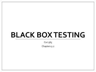 Black Box Testing