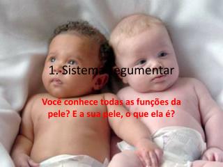 1. Sistema Tegumentar