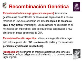 Recombinación Genética