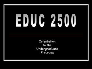 Orientation to the Undergraduate Programs