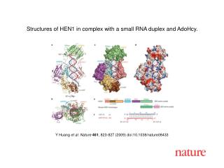 Y Huang et al. Nature 461 , 823 - 827 (2009) doi:10.1038/nature08 433