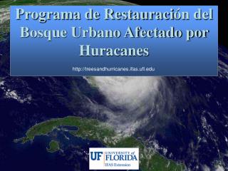 Programa de Restauraci ón del Bosque Urbano Afectado por Huracanes