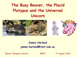 The Busy Beaver, the Placid Platypus and the Universal Unicorn