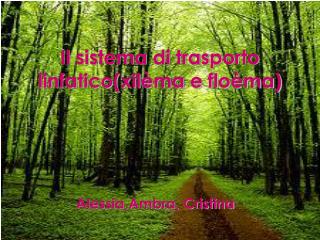 Il sistema di trasporto linfatico(xilèma e floèma)