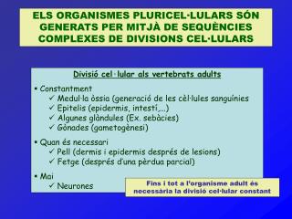 Divisió cel·lular als vertebrats adults Constantment