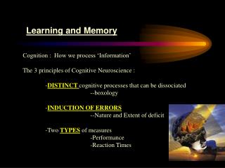 Learning and Memory