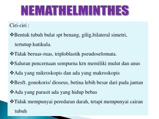 NEMATHELMINTHES