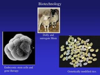 Biotechnology