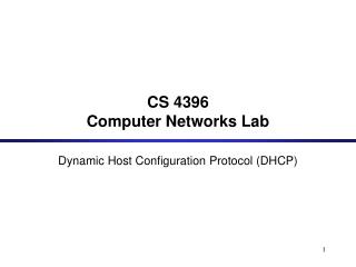 CS 4396 Computer Networks Lab