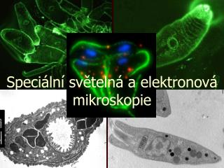 Speciální světelná a elektronová mikroskopie