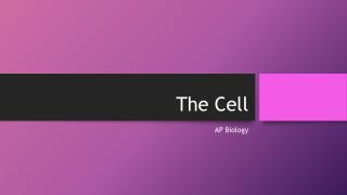 The Cell