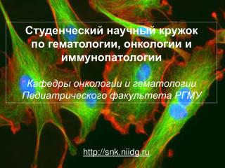 Студенческий научный кружок по гематологии, онкологии и иммунопатологии