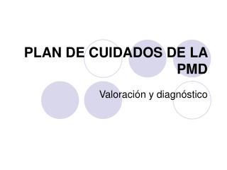 PLAN DE CUIDADOS DE LA PMD