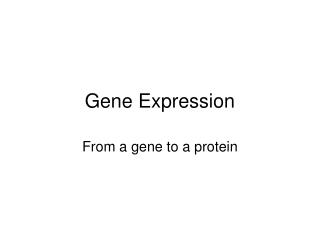 Gene Expression