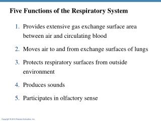 Five Functions of the Respiratory System