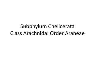 Subphylum Chelicerata Class Arachnida: Order Araneae