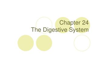 Chapter 24 The Digestive System