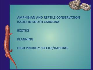 AMPHIBIAN AND REPTILE CONSERVATION ISSUES IN SOUTH CAROLINA: EXOTICS PLANNING