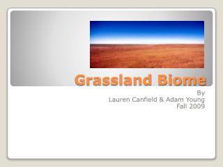 Grassland Biome