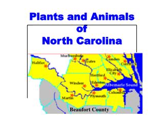 Plants and Animals of North Carolina